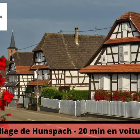 Duplex - Le Cosy - Hyper Centre Apartment Haguenau Bagian luar foto