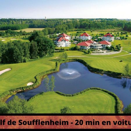 Duplex - Le Cosy - Hyper Centre Apartment Haguenau Bagian luar foto