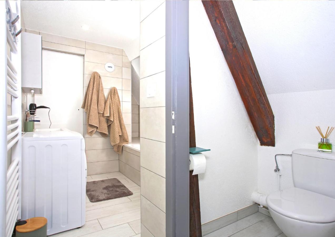 Duplex - Le Cosy - Hyper Centre Apartment Haguenau Bagian luar foto