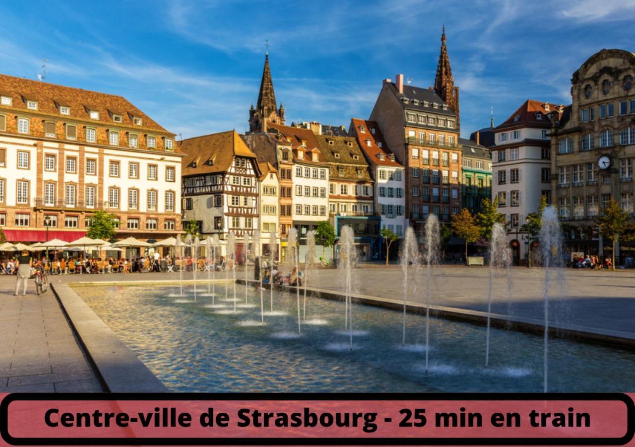 Duplex - Le Cosy - Hyper Centre Apartment Haguenau Bagian luar foto