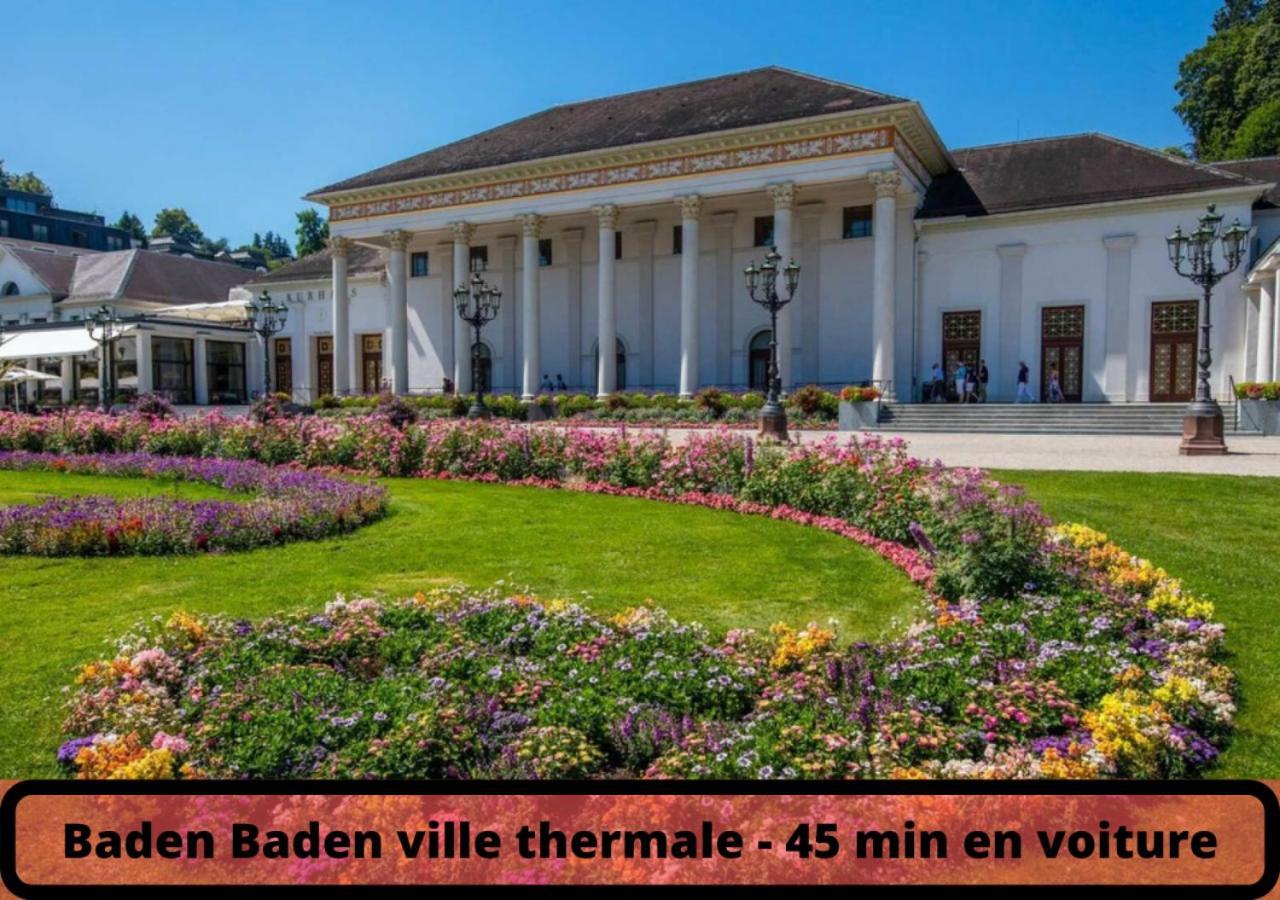 Duplex - Le Cosy - Hyper Centre Apartment Haguenau Bagian luar foto