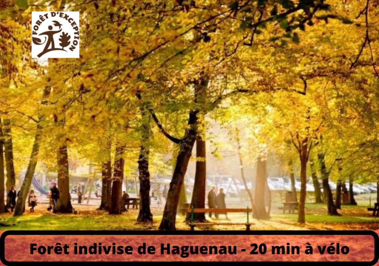 Duplex - Le Cosy - Hyper Centre Apartment Haguenau Bagian luar foto
